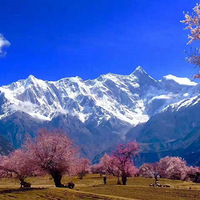 4��2��  Լ������  ��������