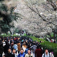 ����ֵ��һ����ӣ����