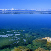 �����½���½���