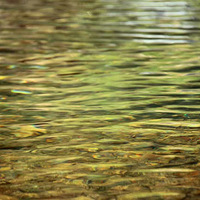 4.22-23̤�࣬�ɰ����Ȳ裬ũ���л���͡���