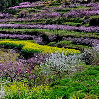 �������������� ����ĩ���� �ܿ����� һ��ȥ�����ͻ�