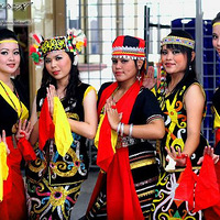 ���������˾���������? �������!