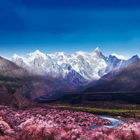 4.25һ��ȥ����