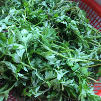 ��һ�����ţ���һƬ˼��