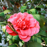 �������ⲻ����