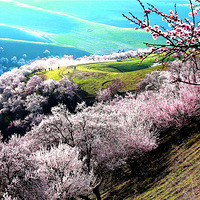 �������� �����¡�����½���Դ�ӻ���