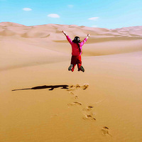 4������ľ��-�����ӻ���-�������ԭ-��ľ����ɳĮ8��