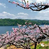 4.3-4.4 ������ ʮ���������� ����ɽ��Խ