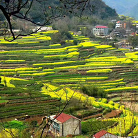 ������ͷ��ʼ��һ����