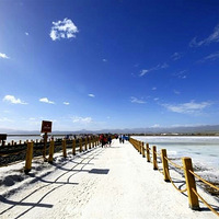 һ�����ٸ���һ�Σ�׷�����ص����У�������