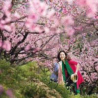 �����Ͼ�����4.2������