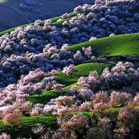 4���½���̽�ö��صı�����⡾�������ԭ��