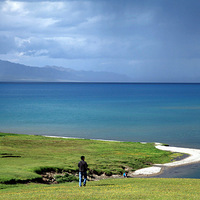 �½��ӻ���-��ɽ��Ͽ��-����ľ��-�������ԭ-��ľ����ɳĮ