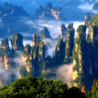 �żҽ����������Ϊ���Ƽ�ɭ�ֹ�԰������