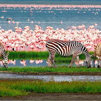 �����Ǩ��