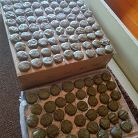 ÿÿ����������ڣ������ɵĲ����ң�������ʳ��