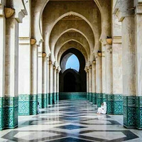 Ħ�������