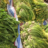 �����÷�ɲ��ֿ��Գ��ˣ�����ˮ��÷�˿��⸽����