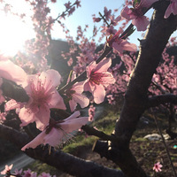 ��Ķ��԰������