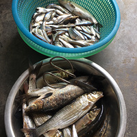 �����ؼ��ˣ��������ջ�