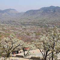 4.8�����滨