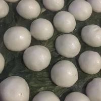 �ع���԰���һ���������ֲ��ޣ�