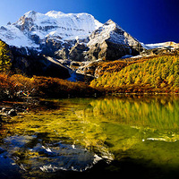 4��11��15��22��29�ŵ����Ƕ�+ɫ��8���γɶ�������Լ��ƴ����