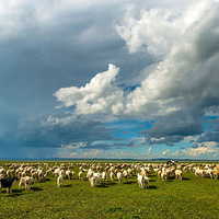 ���ױ�����ԭ����ƴ�������Σ�����AA��