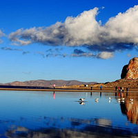 �������Լ�����ȥ���أ���־ͬ���ϵ�����