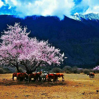 4��22�� ����һ��ȥ����