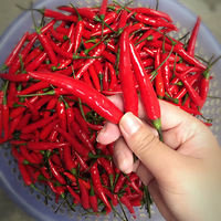 �Լ���������Ϻ��