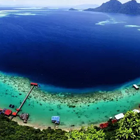 ƮƮ�����ڱ���ɫ�������󣬺������а��ɱ���