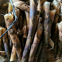 �ճ����Ĵ���