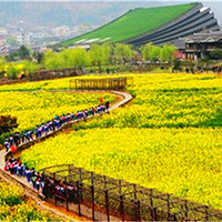 �żҽ�ɽ�Ĵ���ɽ���ջ�