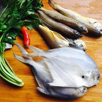 һ��4�ڵ�����