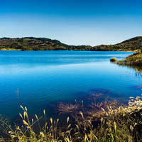 4.16�����գ�ȥ��Խ�ŵ������������ȫ��