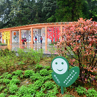 ������ֱ�����߽�ľҶ������Сѧ����һƬ����Ҷ��