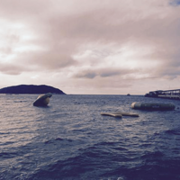 ���ϣ��ڱ̺���������ǿ����������õĴ�