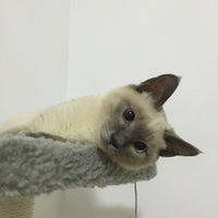 ��Ů����ι��˧�����ˣ�