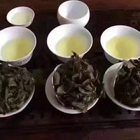 С���Լ���ֲ �ԼҰ������Ĳ�Ҷ �������Ҫ��ϵС��