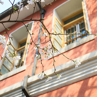 �����ܿ�����ӣ�����������������аɣ�