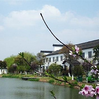 2017�������˽ڲ�ժԼ��Լ