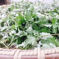 �˼������첻�����ⲻ�����ࡱ----�̵�����������