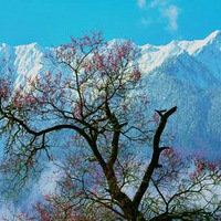 ��318�������޴�Խ�����ϵ��ǳ�ʥ֮������