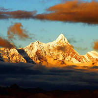 ��6���½�����Լ����޹�²ݣ������������ԭ��