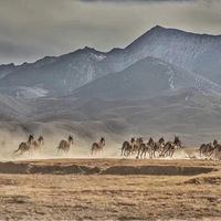 ���ݳ����Լ������أ�Լ��