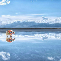 �s������