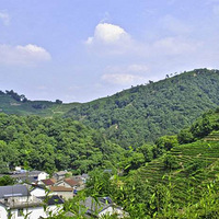 4��23�����ܴ�ů������������Ⱥɽ