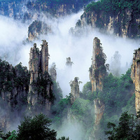 �żҽ����ڲ�ͬ������ɫ��������