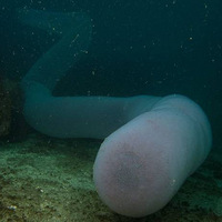 �������������ء�������